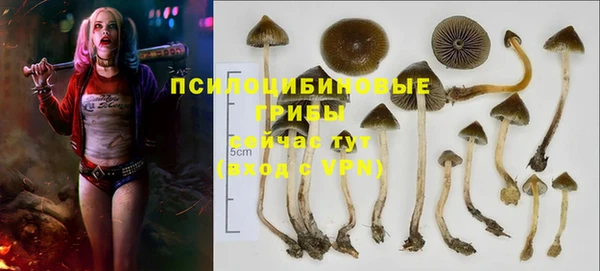 mdma Елизово