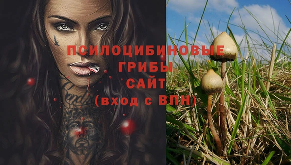 каннабис Ельня