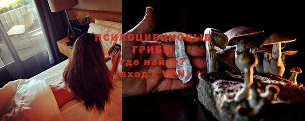каннабис Ельня