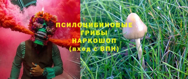каннабис Ельня