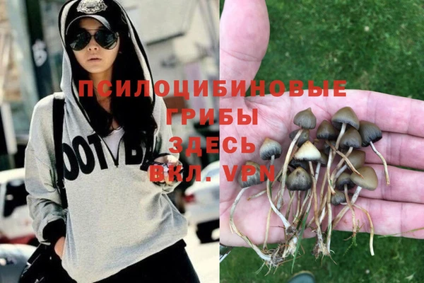 каннабис Ельня