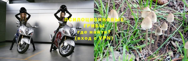 каннабис Ельня