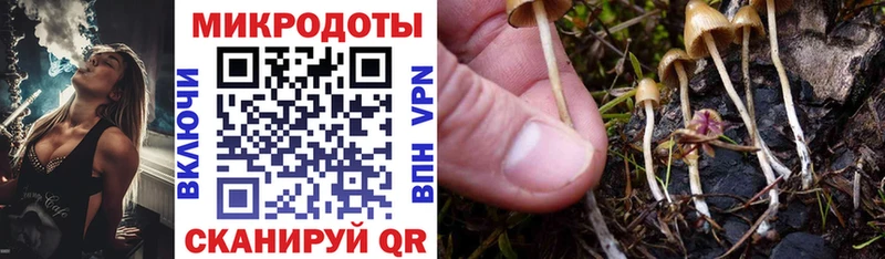 Галлюциногенные грибы Psilocybine cubensis  Купить  Алдан 